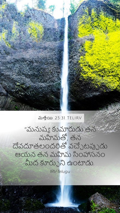 మత్తయి 25:31 TELIRV Bible Verse Image