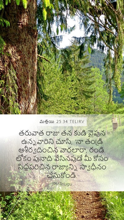 మత్తయి 25:34 TELIRV Bible Verse Image