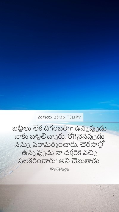 మత్తయి 25:36 TELIRV Bible Verse Image