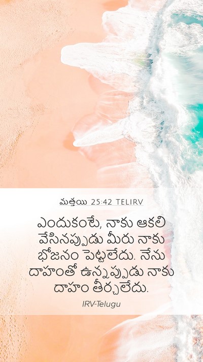 మత్తయి 25:42 TELIRV Bible Verse Image