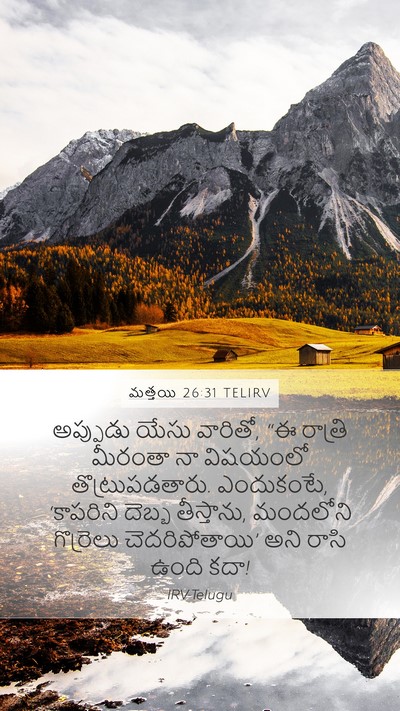 మత్తయి 26:31 TELIRV Bible Verse Image