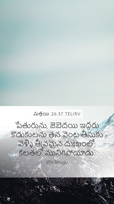 మత్తయి 26:37 TELIRV Bible Verse Image