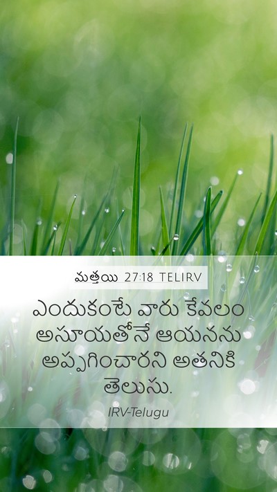 మత్తయి 27:18 TELIRV Bible Verse Image
