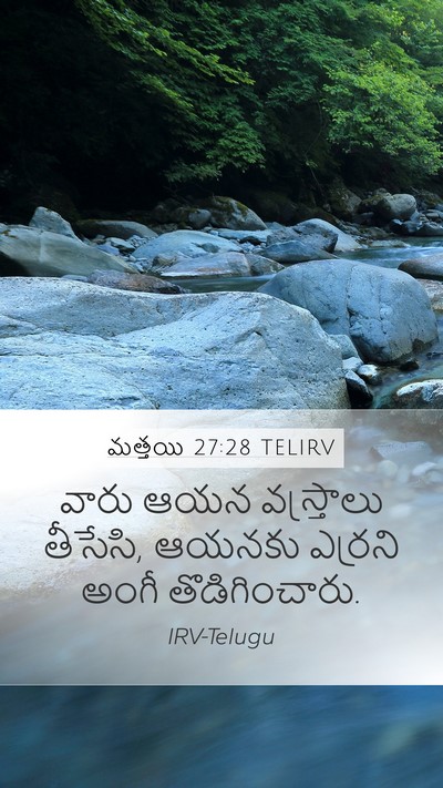 మత్తయి 27:28 TELIRV Mobile Phone Wallpaper - వారు ఆయన - Mobile Bible Verse Wallpaper