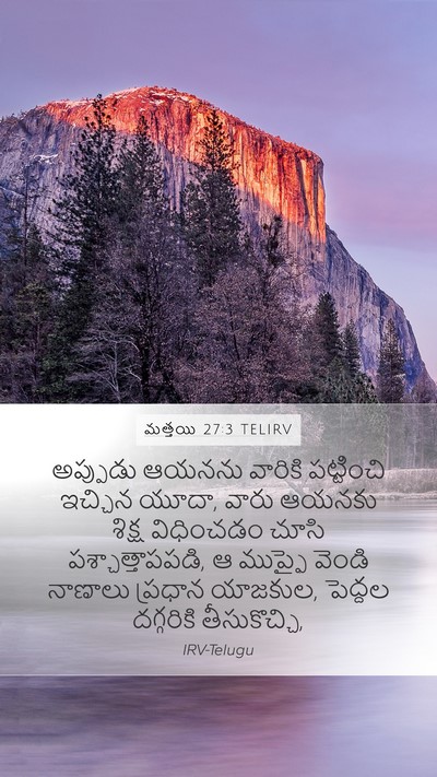 మత్తయి 27:3 TELIRV Bible Verse Image