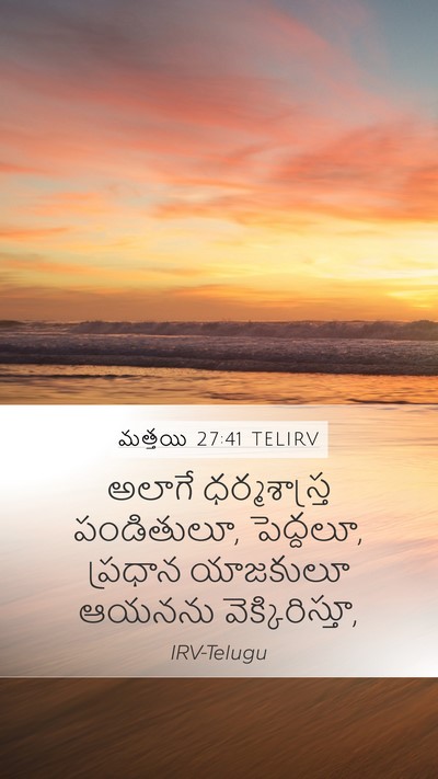 మత్తయి 27:41 TELIRV Bible Verse Image