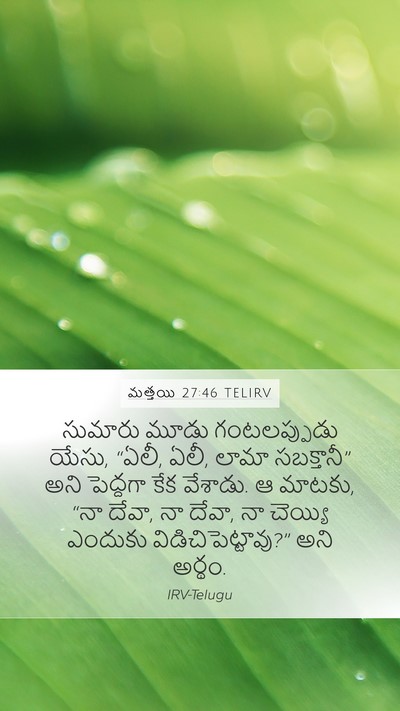 మత్తయి 27:46 TELIRV Bible Verse Image