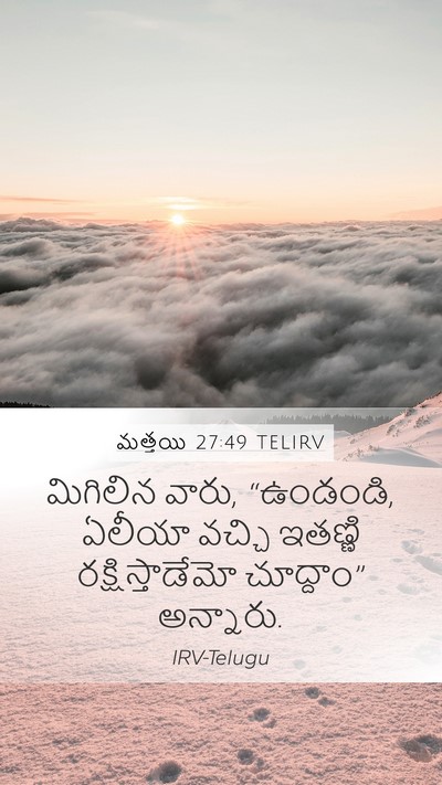 మత్తయి 27:49 TELIRV Bible Verse Image