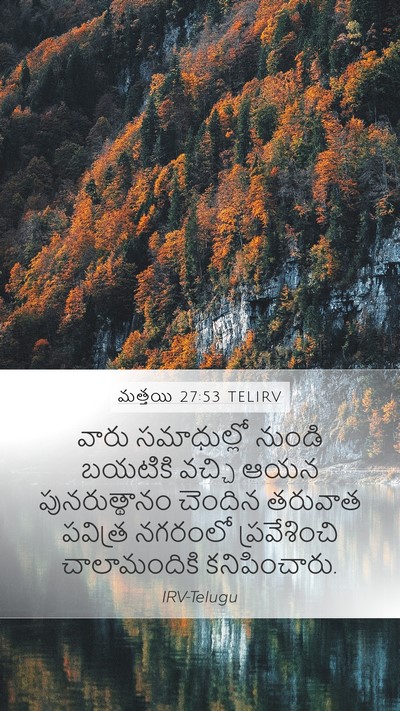 మత్తయి 27:53 TELIRV Bible Verse Image