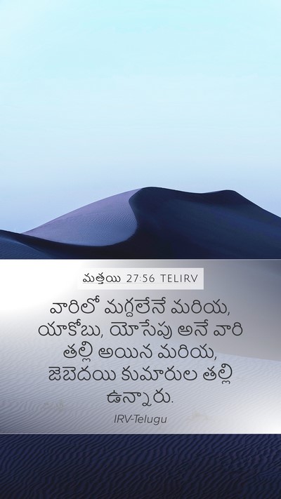 మత్తయి 27:56 TELIRV Bible Verse Image