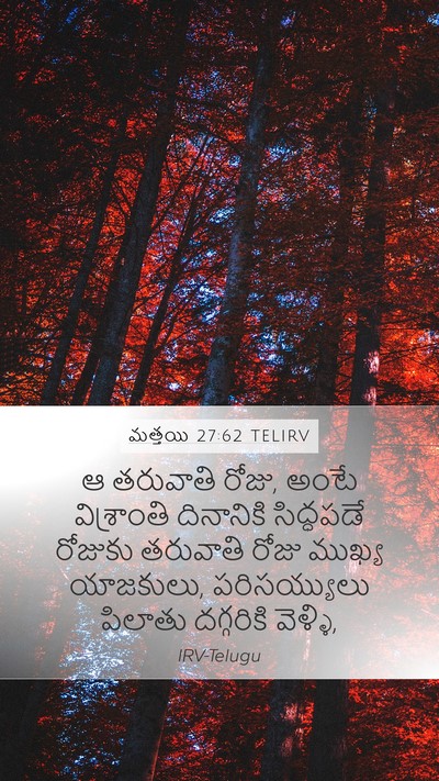 మత్తయి 27:62 TELIRV Bible Verse Image
