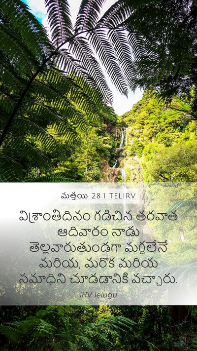 మత్తయి 28:1 TELIRV Bible Verse Image