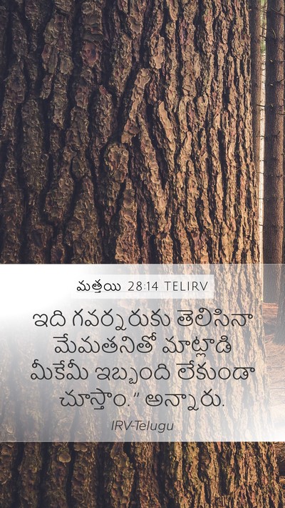 మత్తయి 28:14 TELIRV Mobile Phone Wallpaper - ఇది గవర్నరుకు - Mobile Bible Verse Wallpaper