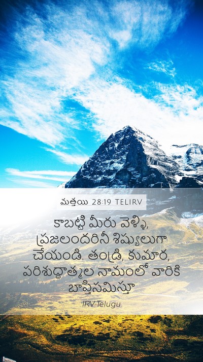 మత్తయి 28:19 TELIRV Bible Verse Image