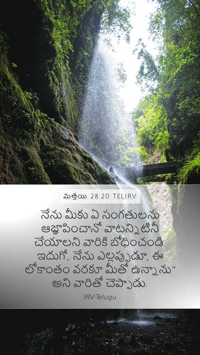 మత్తయి 28:20 TELIRV Bible Verse Image