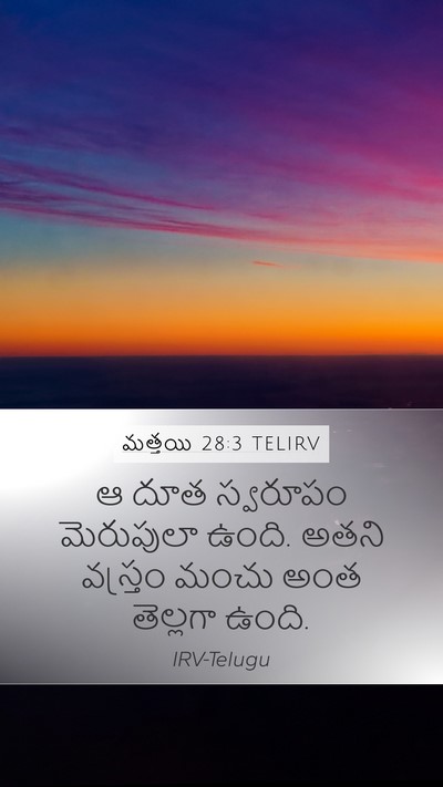 మత్తయి 28:3 TELIRV Bible Verse Image