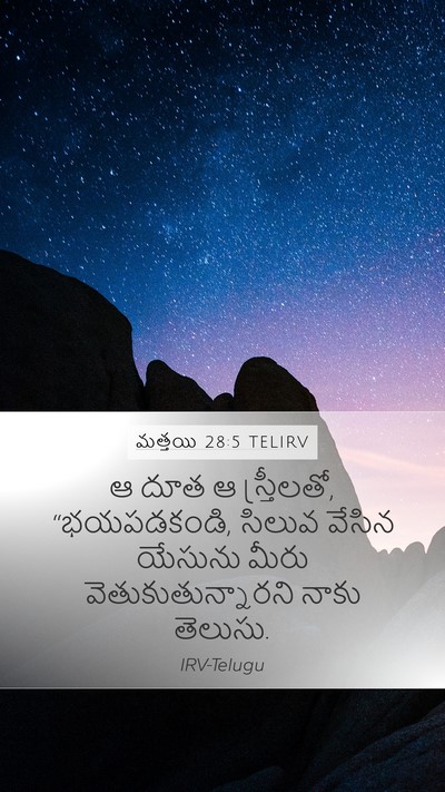 మత్తయి 28:5 TELIRV Bible Verse Image