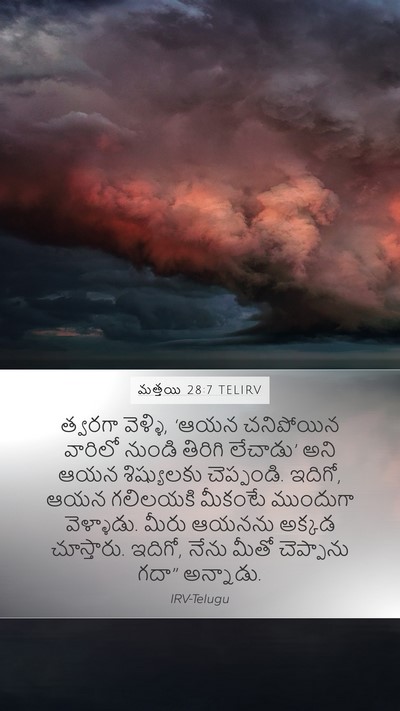 మత్తయి 28:7 TELIRV Bible Verse Image