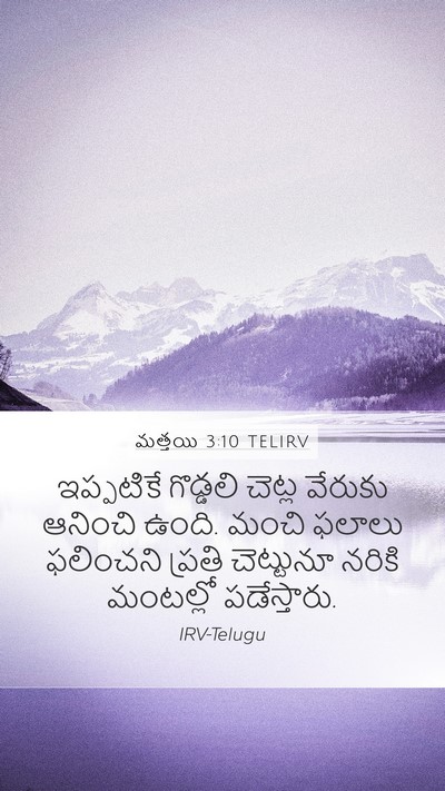 మత్తయి 3:10 TELIRV Bible Verse Image