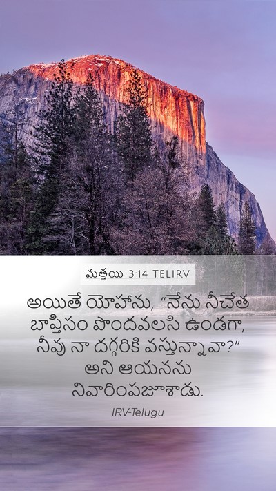 మత్తయి 3:14 TELIRV Bible Verse Image