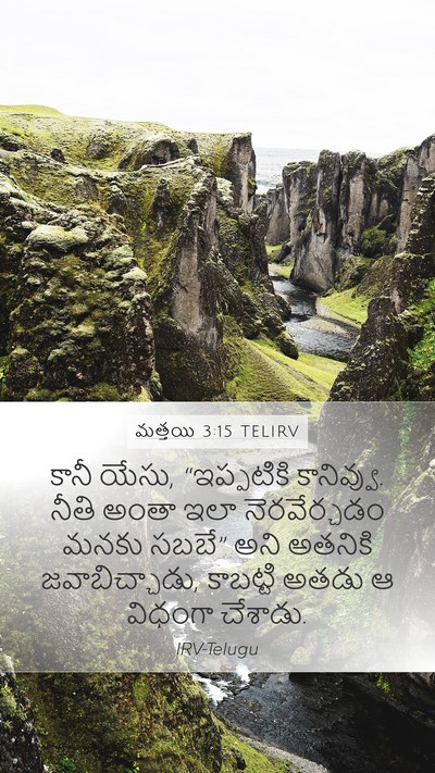 మత్తయి 3:15 TELIRV Bible Verse Image
