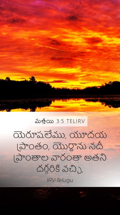మత్తయి 3:5 TELIRV Bible Verse Image