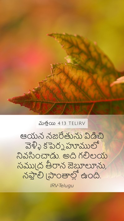 మత్తయి 4:13 TELIRV Bible Verse Image