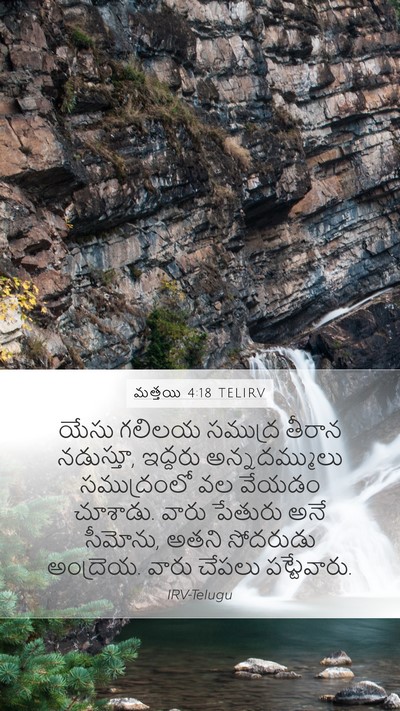 మత్తయి 4:18 TELIRV Bible Verse Image