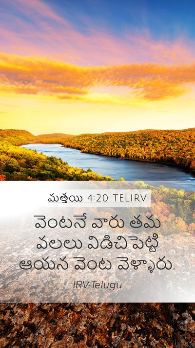 మత్తయి 4:20 TELIRV Mobile Phone Wallpaper - వెంటనే వారు తమ - Mobile Bible Verse Wallpaper