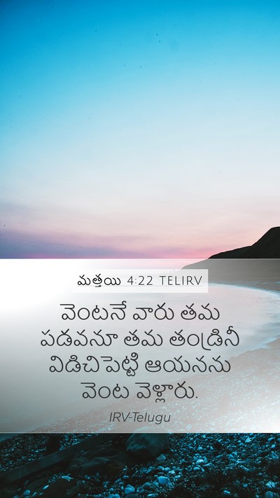 మత్తయి 4:22 TELIRV Mobile Phone Wallpaper - వెంటనే వారు తమ - Mobile Bible Verse Wallpaper