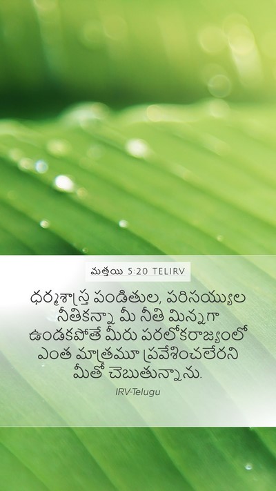 మత్తయి 5:20 TELIRV Bible Verse Image