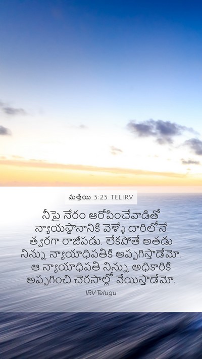 మత్తయి 5:25 TELIRV Bible Verse Image