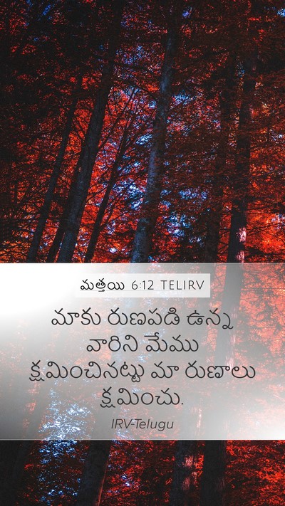 మత్తయి 6:12 TELIRV Bible Verse Image