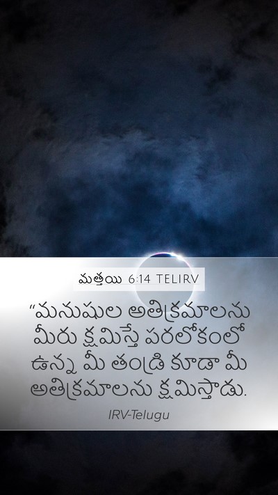 మత్తయి 6:14 TELIRV Bible Verse Image