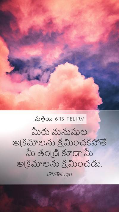 మత్తయి 6:15 TELIRV Mobile Phone Wallpaper - మీరు మనుషుల - Mobile Bible Verse Wallpaper