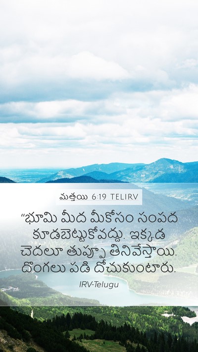 మత్తయి 6:19 TELIRV Bible Verse Image