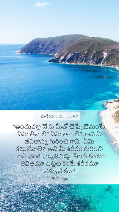 మత్తయి 6:25 TELIRV Bible Verse Image