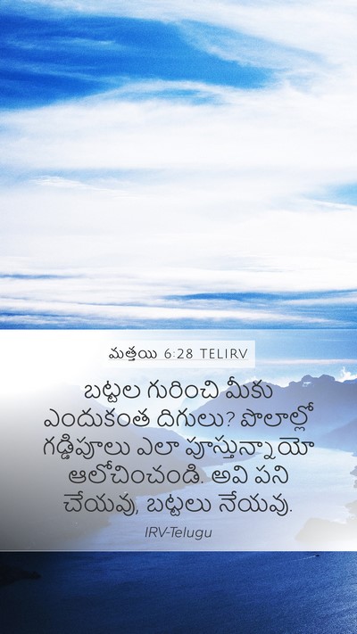 మత్తయి 6:28 TELIRV Mobile Phone Wallpaper - బట్టల గురించి - Mobile Bible Verse Wallpaper