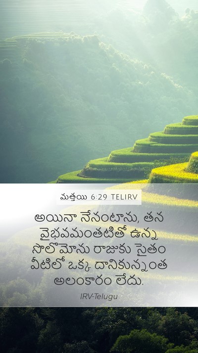 మత్తయి 6:29 TELIRV Bible Verse Image