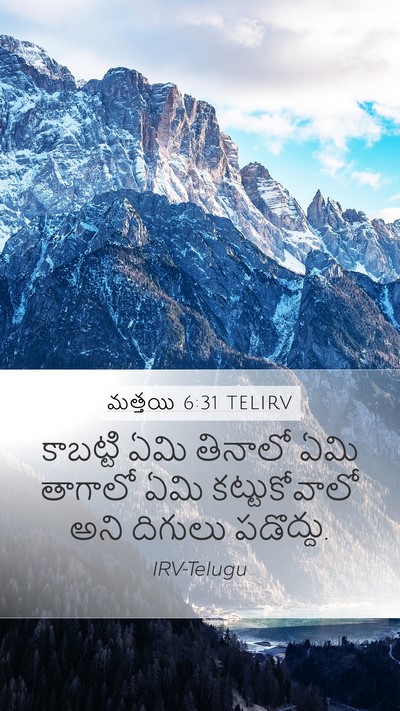 మత్తయి 6:31 TELIRV Bible Verse Image