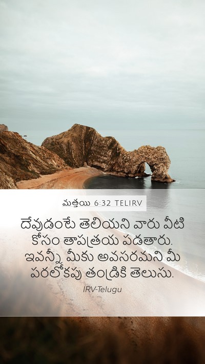 మత్తయి 6:32 TELIRV Bible Verse Image