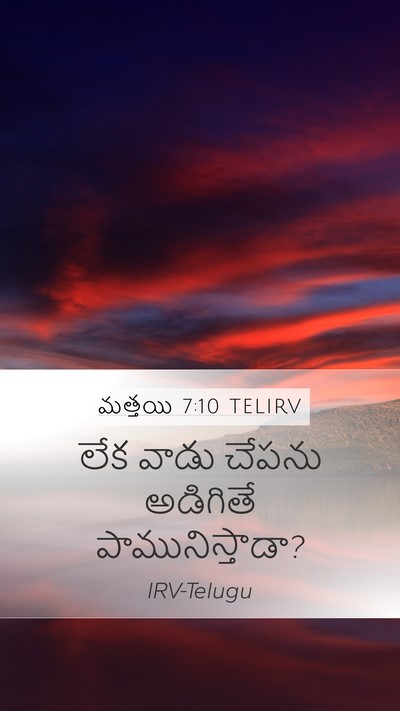 మత్తయి 7:10 TELIRV Mobile Phone Wallpaper - లేక వాడు చేపను - Mobile Bible Verse Wallpaper