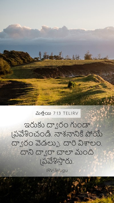 మత్తయి 7:13 TELIRV Bible Verse Image
