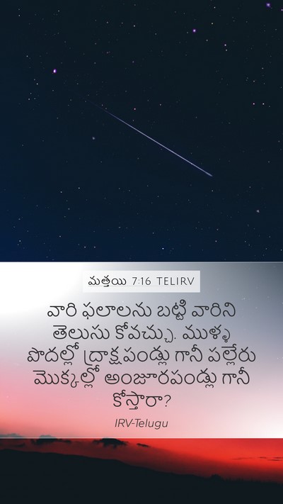 మత్తయి 7:16 TELIRV Bible Verse Image