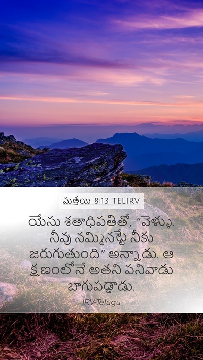 మత్తయి 8:13 TELIRV Bible Verse Image