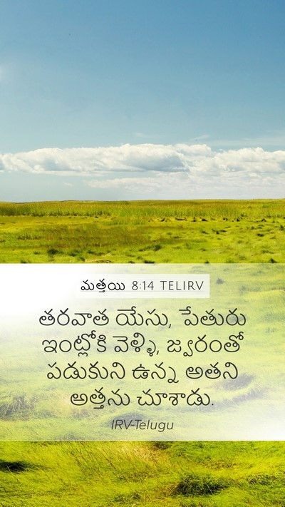 మత్తయి 8:14 TELIRV Bible Verse Image