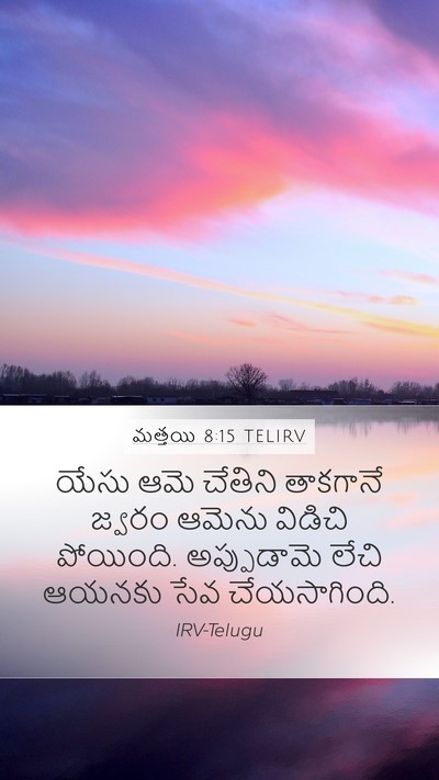 మత్తయి 8:15 TELIRV Mobile Phone Wallpaper - యేసు ఆమె చేతిని - Mobile Bible Verse Wallpaper