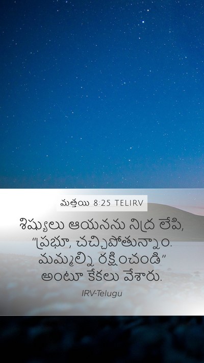 మత్తయి 8:25 TELIRV Mobile Phone Wallpaper - శిష్యులు ఆయనను - Mobile Bible Verse Wallpaper