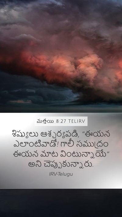 మత్తయి 8:27 TELIRV Bible Verse Image