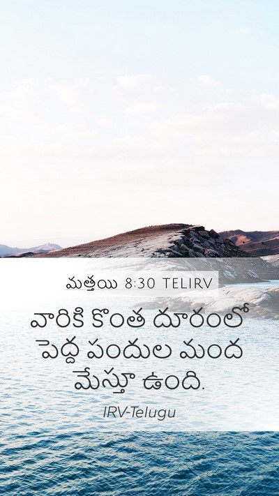 మత్తయి 8:30 TELIRV Bible Verse Image